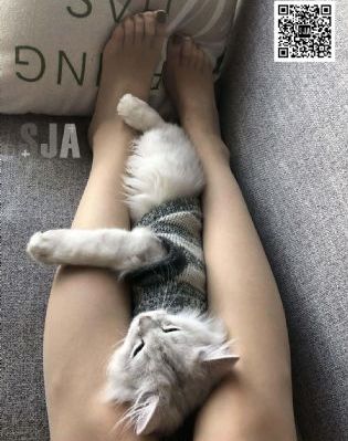 乡村熟丨妇性旺盛_在线视频网